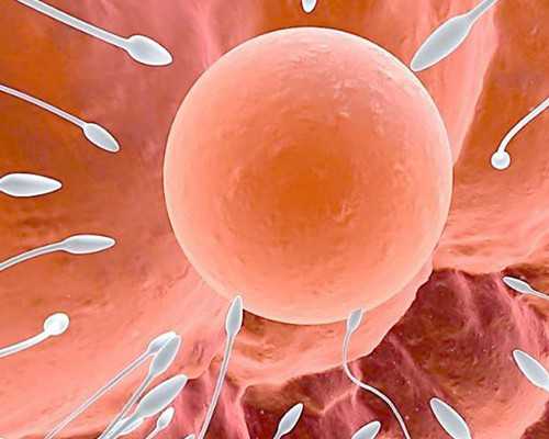 济南助孕公司联系方式